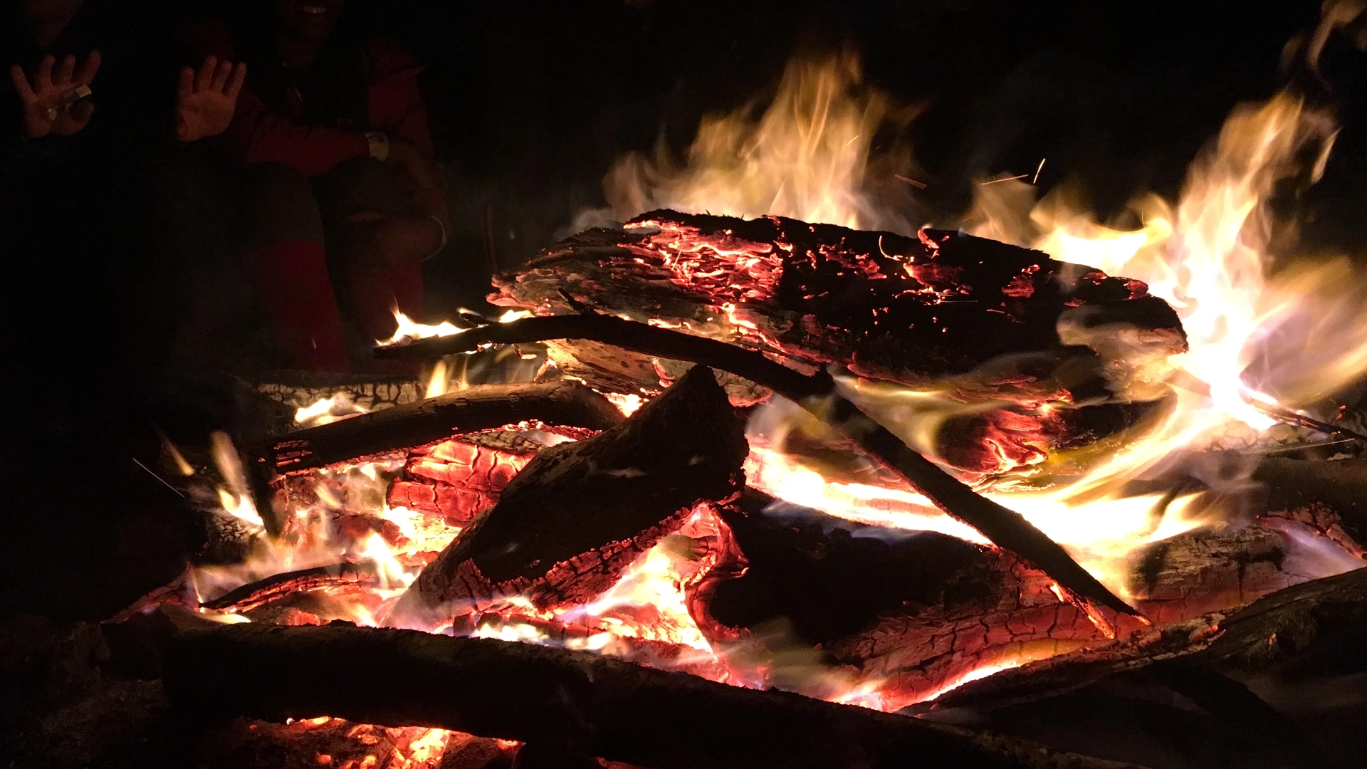 bushcraft fire lighting camping